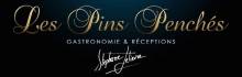 les pins penchés recommandé par soniab